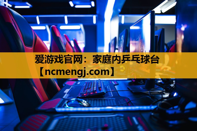 爱游戏官网：家庭内乒乓球台