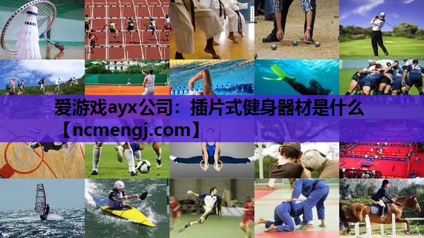 爱游戏ayx公司：插片式健身器材是什么