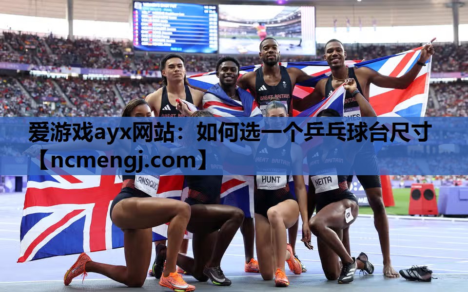 爱游戏ayx网站：如何选一个乒乓球台尺寸