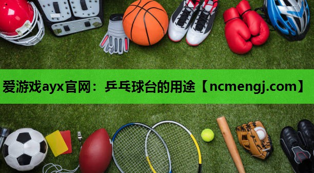 爱游戏ayx官网：乒乓球台的用途