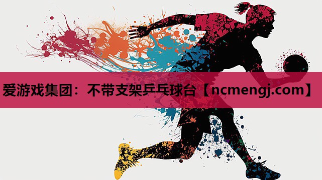 爱游戏集团：不带支架乒乓球台