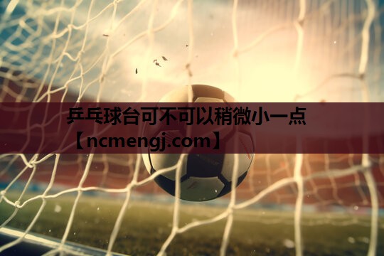 乒乓球台可不可以稍微小一点