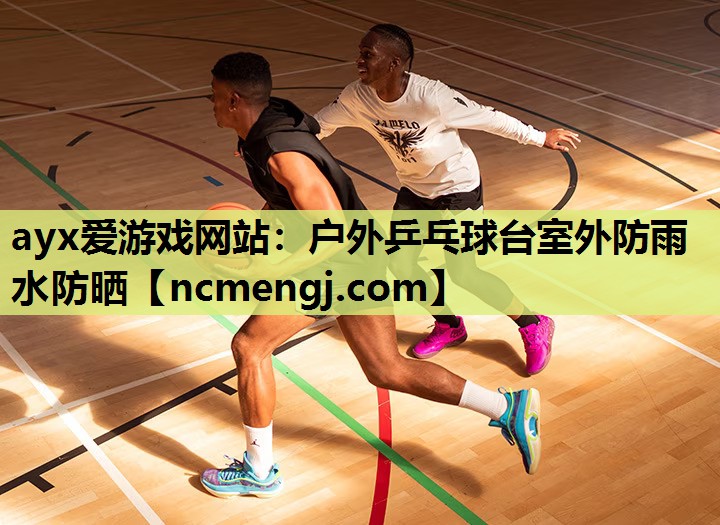 ayx爱游戏网站：户外乒乓球台室外防雨水防晒