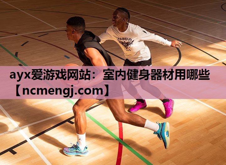 ayx爱游戏网站：室内健身器材用哪些