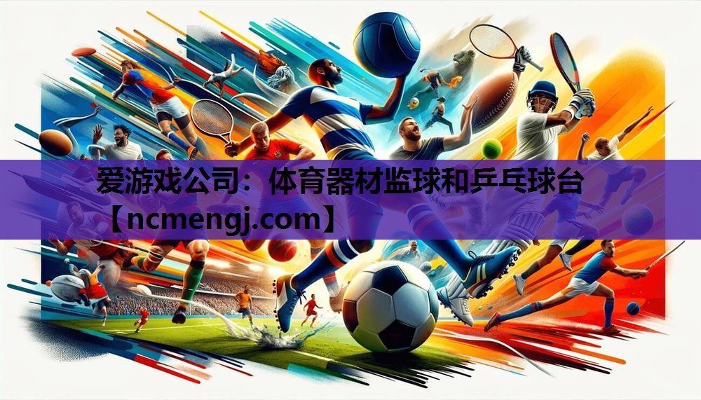 爱游戏公司：体育器材监球和乒乓球台