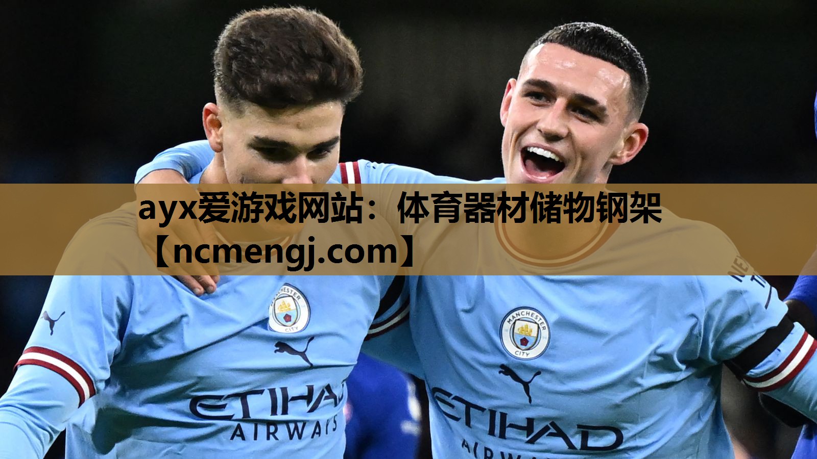 ayx爱游戏网站：体育器材储物钢架