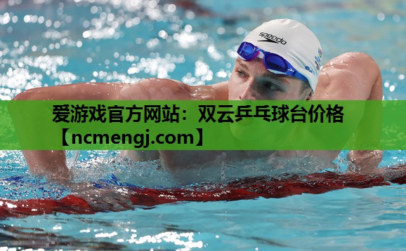 爱游戏官方网站：双云乒乓球台价格