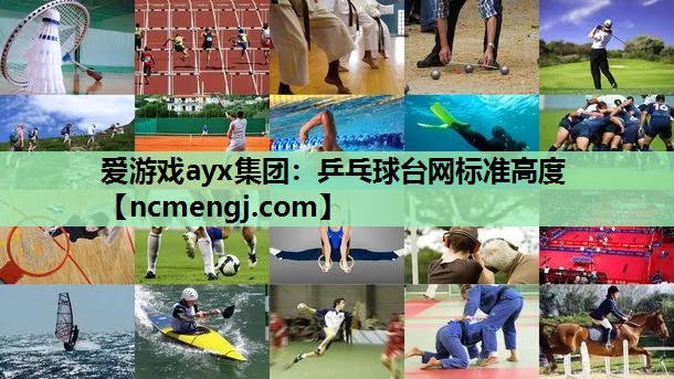 爱游戏ayx集团：乒乓球台网标准高度