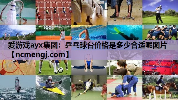 爱游戏ayx集团：乒乓球台价格是多少合适呢图片
