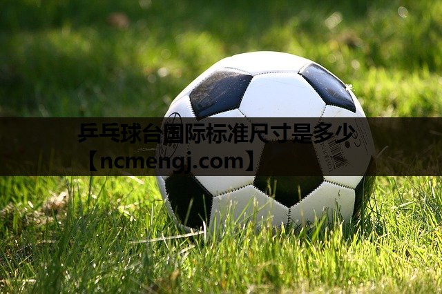 乒乓球台国际标准尺寸是多少