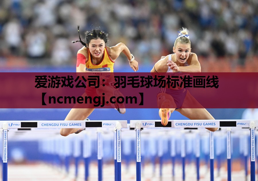 爱游戏公司：羽毛球场标准画线