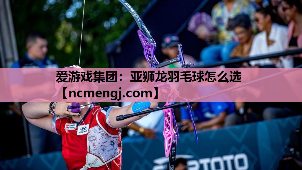 爱游戏集团：亚狮龙羽毛球怎么选