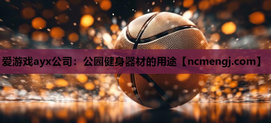 爱游戏ayx公司：公园健身器材的用途