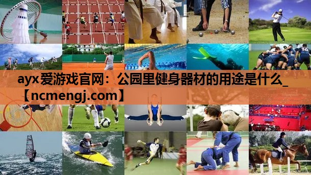 ayx爱游戏官网：公园里健身器材的用途是什么_