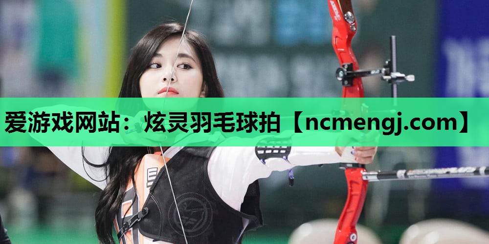 爱游戏网站：炫灵羽毛球拍