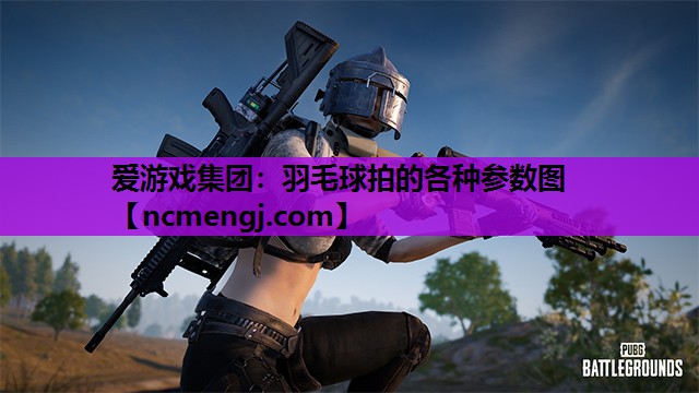 爱游戏集团：羽毛球拍的各种参数图