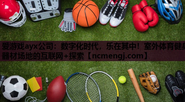 爱游戏ayx公司：数字化时代，乐在其中！室外体育健身器材场地的互联网+探索