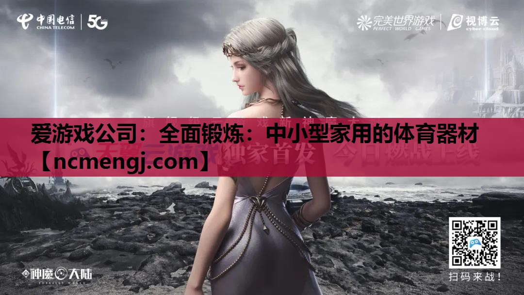 爱游戏公司：全面锻炼：中小型家用的体育器材