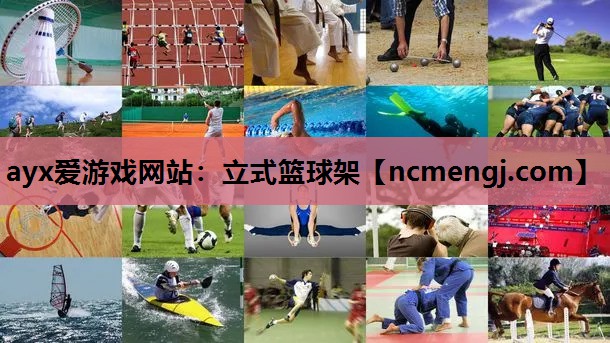 ayx爱游戏网站：立式篮球架