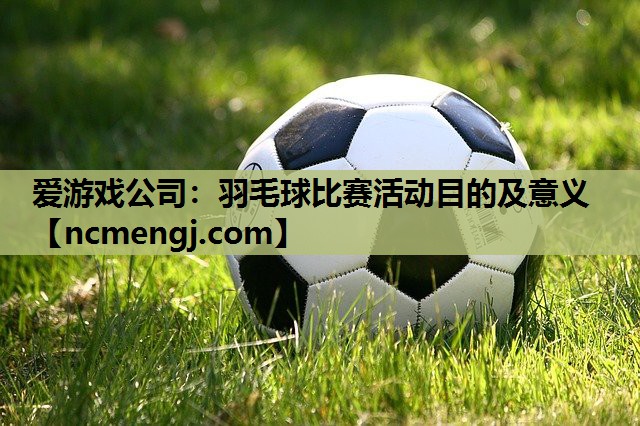 爱游戏公司：羽毛球比赛活动目的及意义
