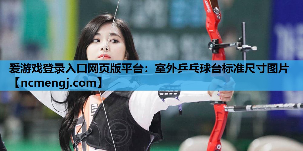 爱游戏登录入口网页版平台：室外乒乓球台标准尺寸图片
