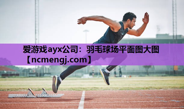 爱游戏ayx公司：羽毛球场平面图大图