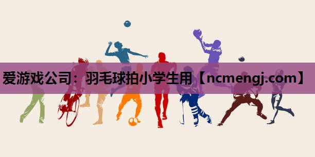 爱游戏公司：羽毛球拍小学生用