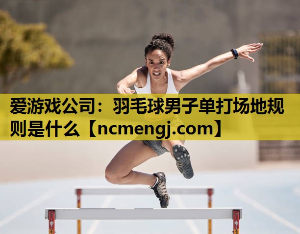 爱游戏公司：羽毛球男子单打场地规则是什么