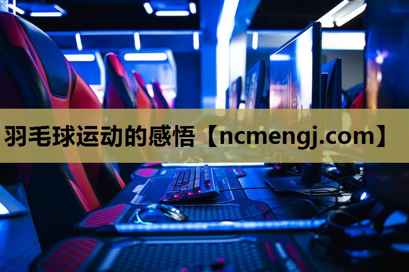 羽毛球运动的感悟