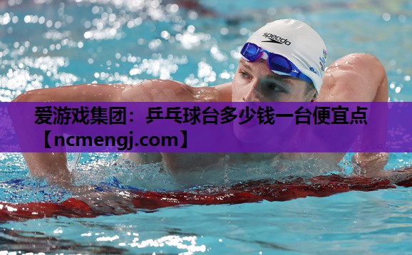 爱游戏集团：乒乓球台多少钱一台便宜点