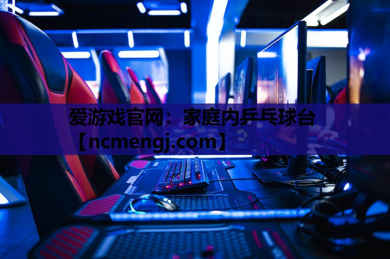 家庭内乒乓球台