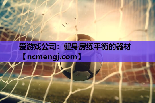 健身房练平衡的器材
