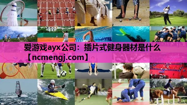 插片式健身器材是什么