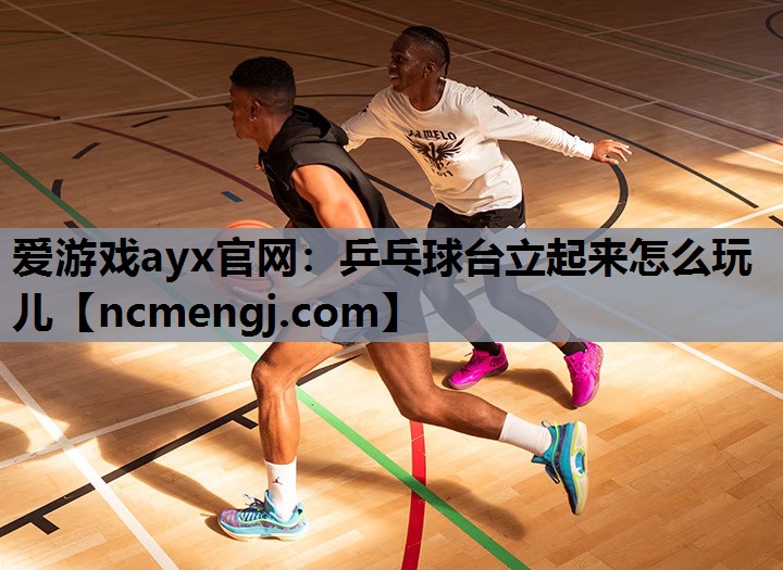 乒乓球台立起来怎么玩儿