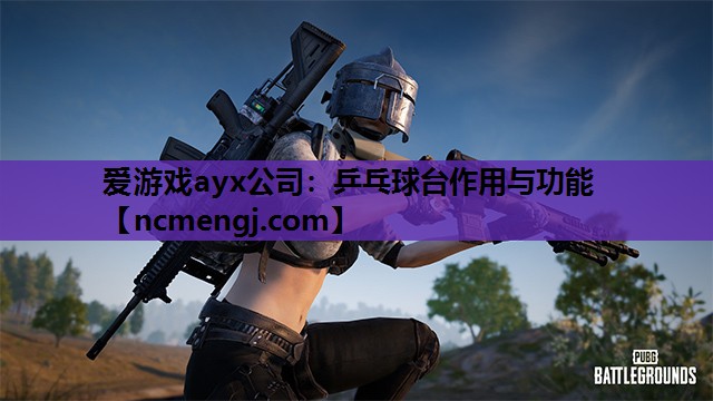 乒乓球台作用与功能