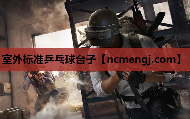 室外标准乒乓球台子