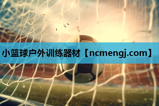 小篮球户外训练器材