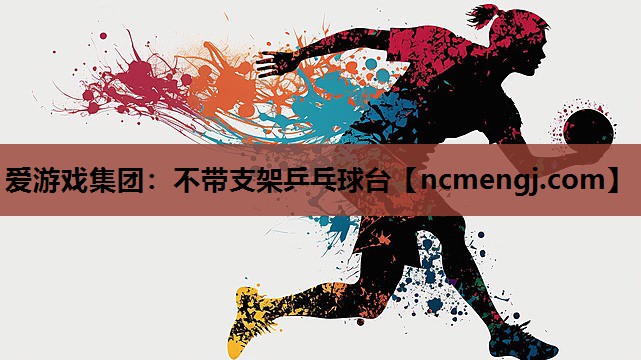 不带支架乒乓球台