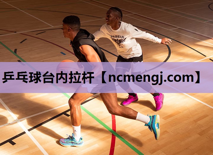 乒乓球台内拉杆