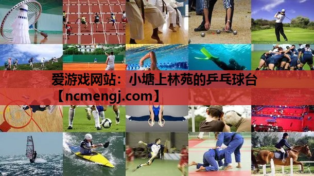 小塘上林苑的乒乓球台