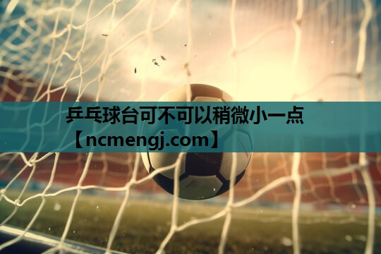 乒乓球台可不可以稍微小一点