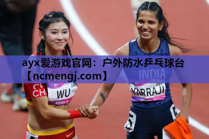 户外防水乒乓球台