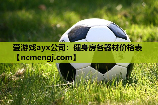 健身房各器材价格表