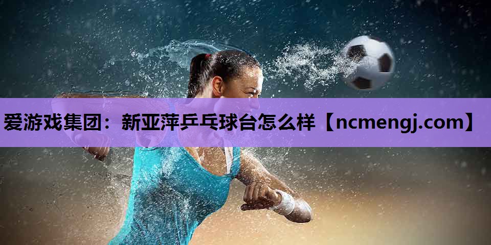 新亚萍乒乓球台怎么样