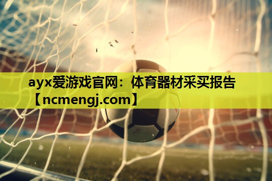 体育器材采买报告