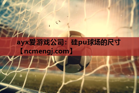 硅pu球场的尺寸