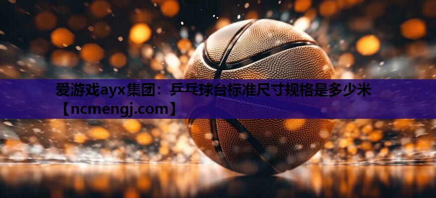 乒乓球台标准尺寸规格是多少米