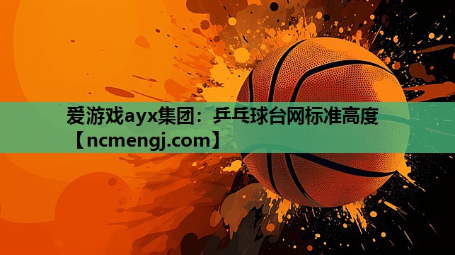 乒乓球台网标准高度