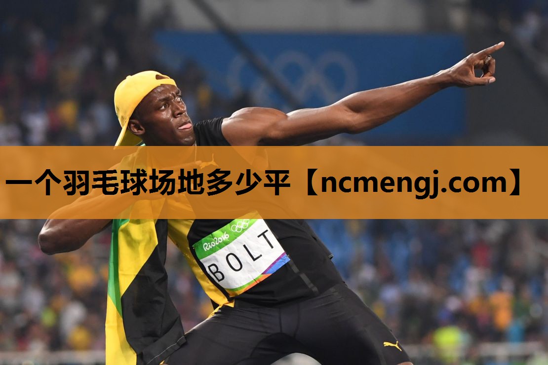 一个羽毛球场地多少平
