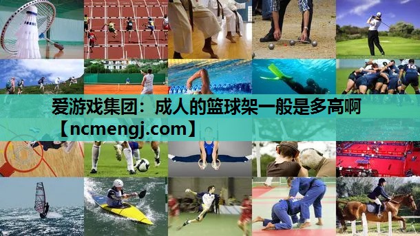 成人的篮球架一般是多高啊